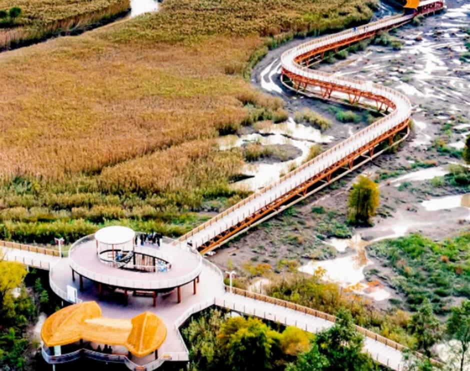 赏飞鸟红叶、品冬日美食……深秋浅冬来郊游吧!