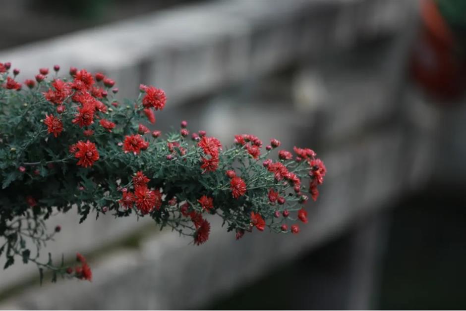 不到20塊錢的預算,竟然能在上海暢玩一整天!