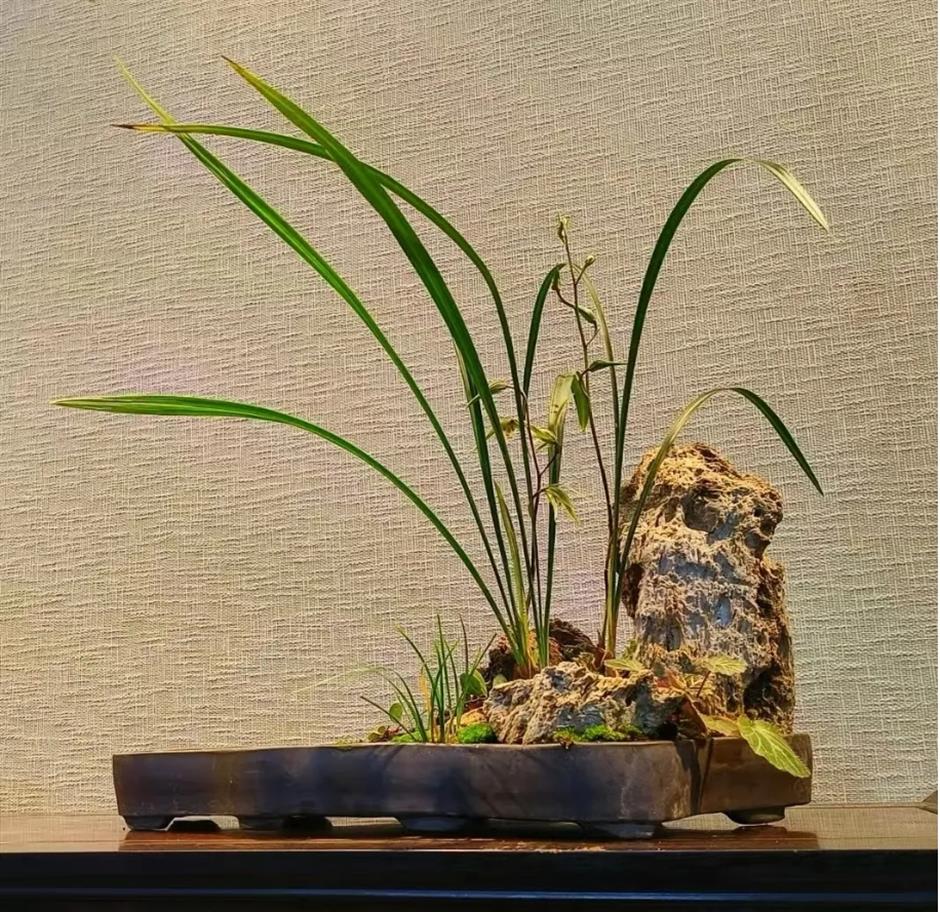 不到20塊錢的預算,竟然能在上海暢玩一整天!