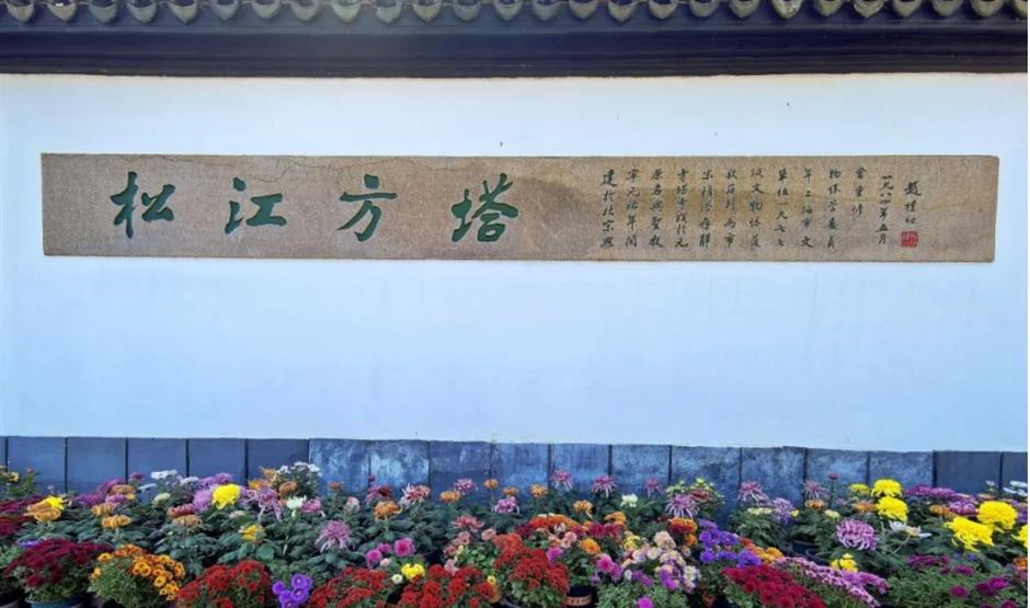 不到20塊錢的預算,竟然能在上海暢玩一整天!