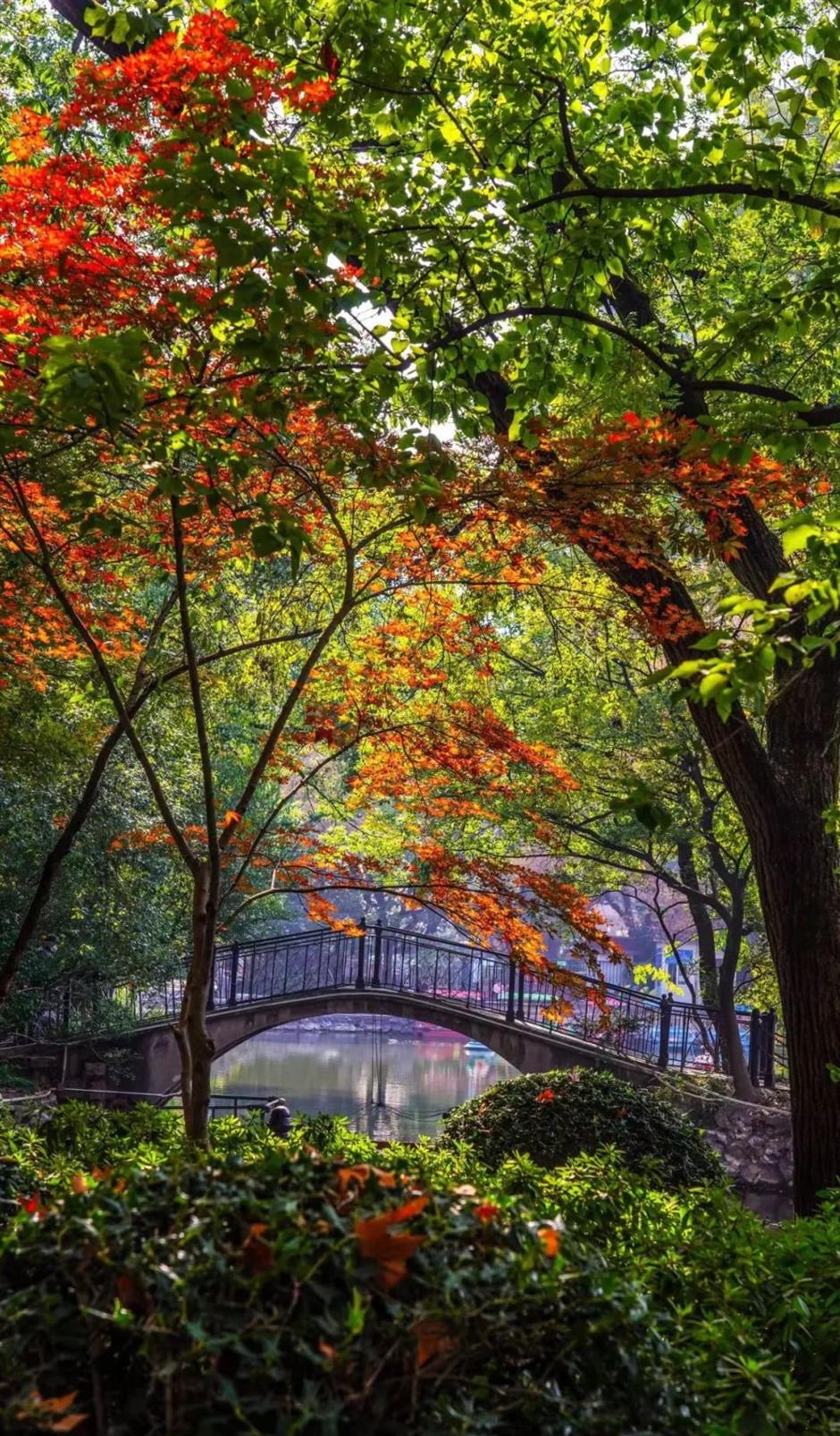 賞秋+遊園+看展！老靈額