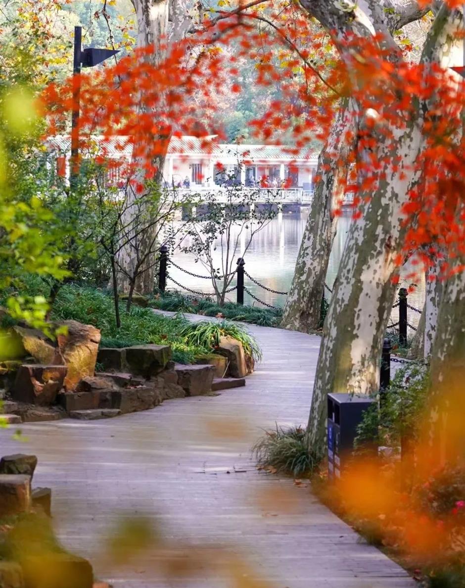 賞秋+遊園+看展！老靈額