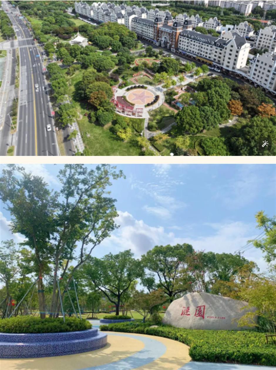 心动!沪郊的入冬仪式感真的绝了!