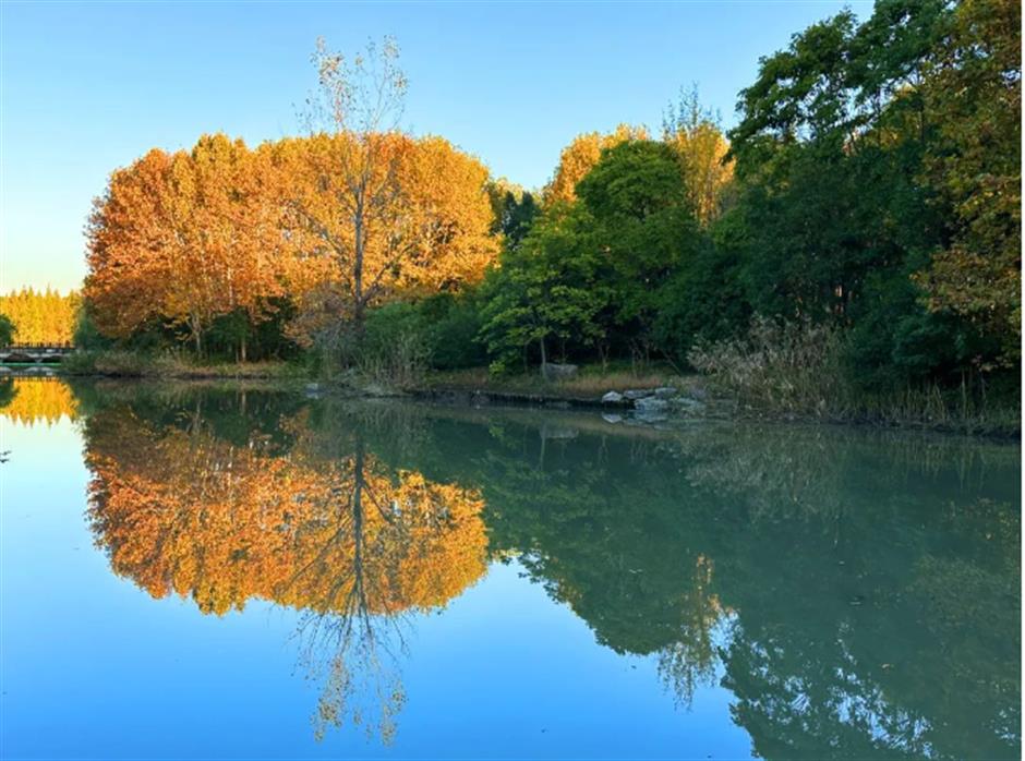 賞秋+遊園+看展！老靈額