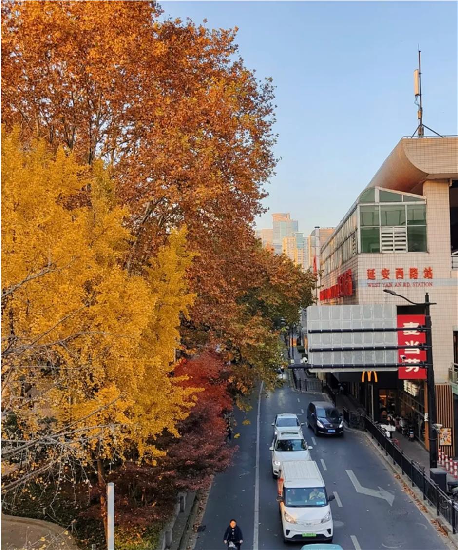 賞秋+遊園+看展！老靈額