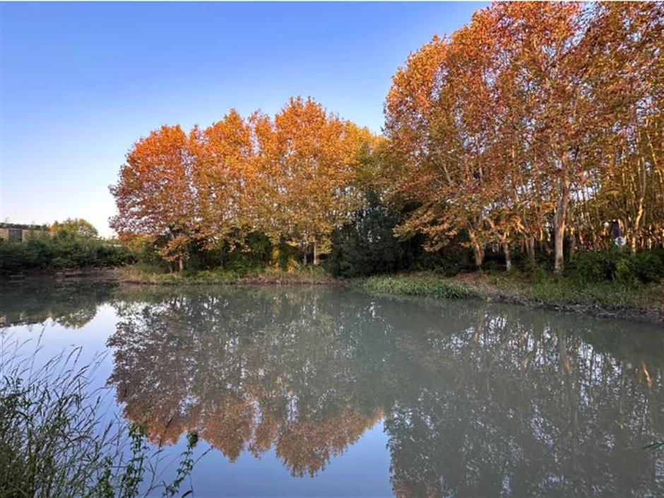 賞秋+遊園+看展！老靈額