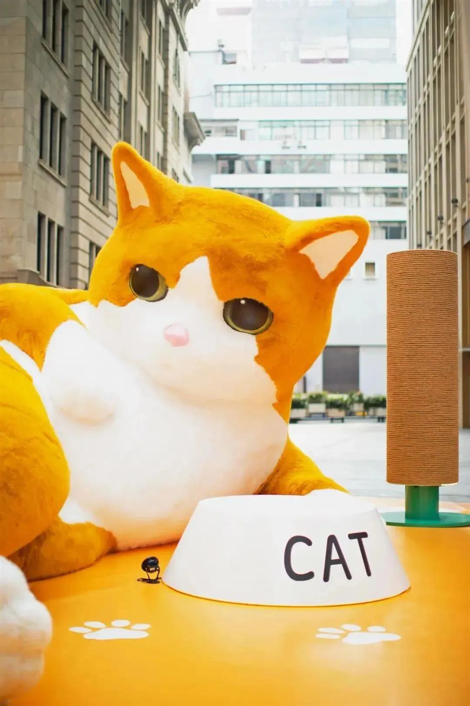 喵!年末的商场好热闹~