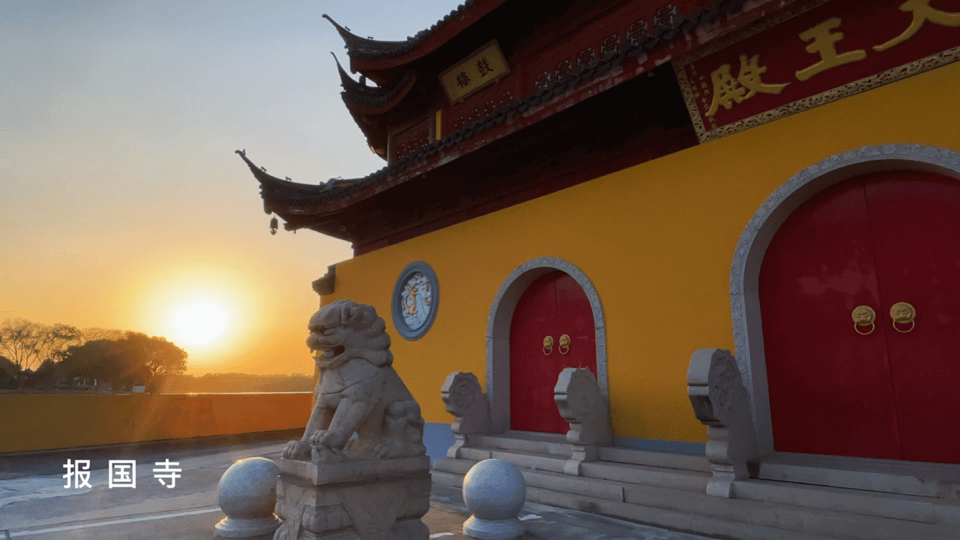 银杏黄了!这里迎来年度