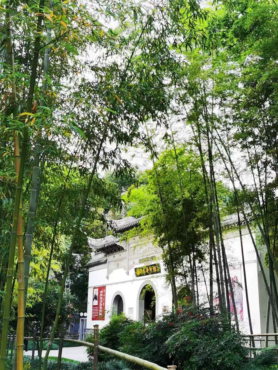 0元打卡外滩冷门公园!赏秋日美景,看蔡天雄