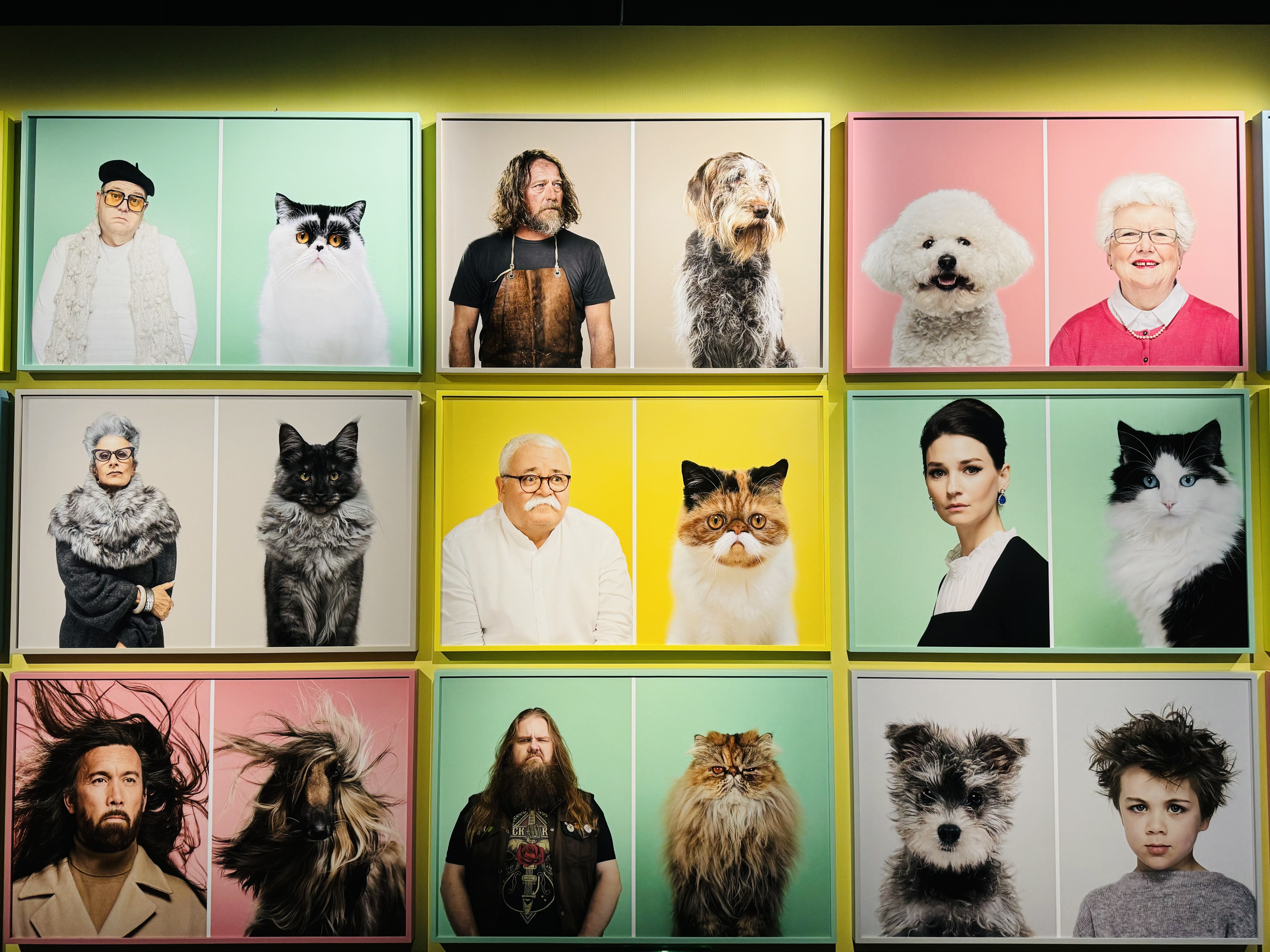 Exploring the art of human-animal connection at Fotografiska - City ...