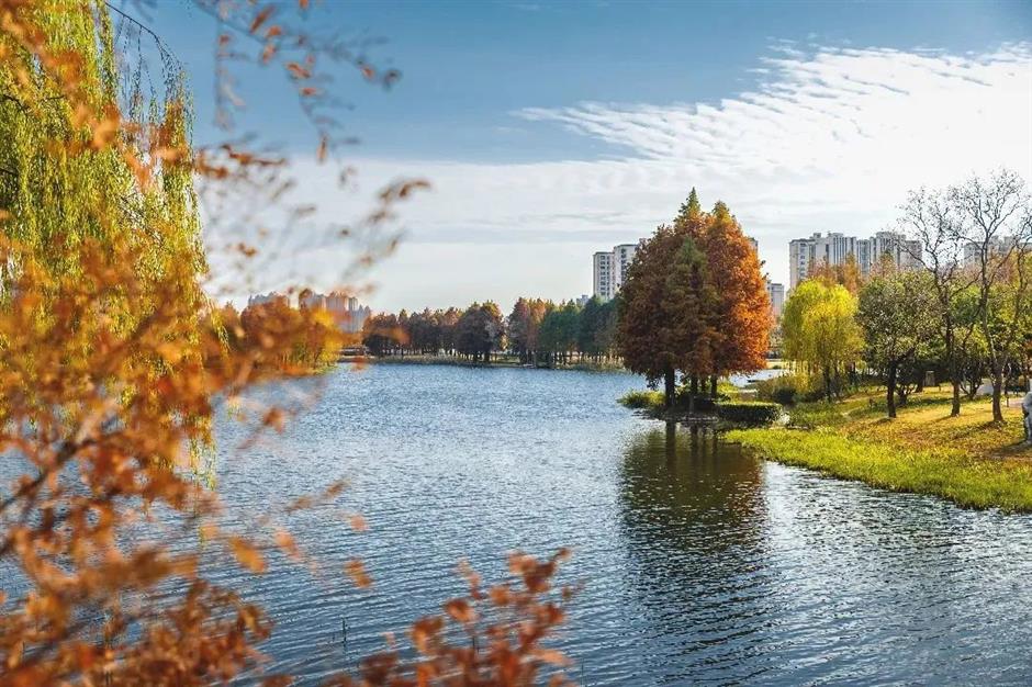 穿越「秋天童話」!這幾條Cityride線路,帶你尋覓秋日好風景