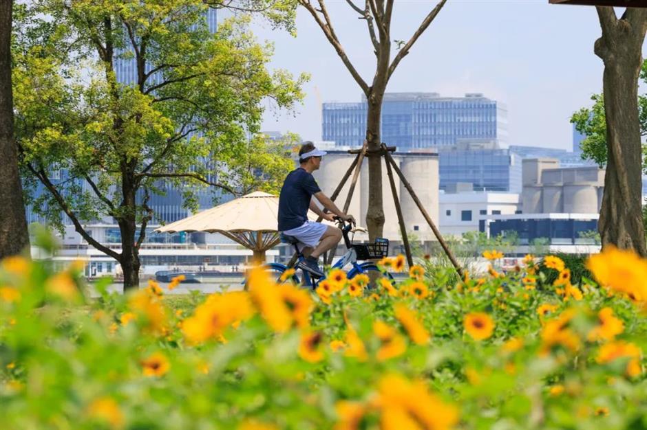 穿越「秋天童話」!這幾條Cityride線路,帶你尋覓秋日好風景