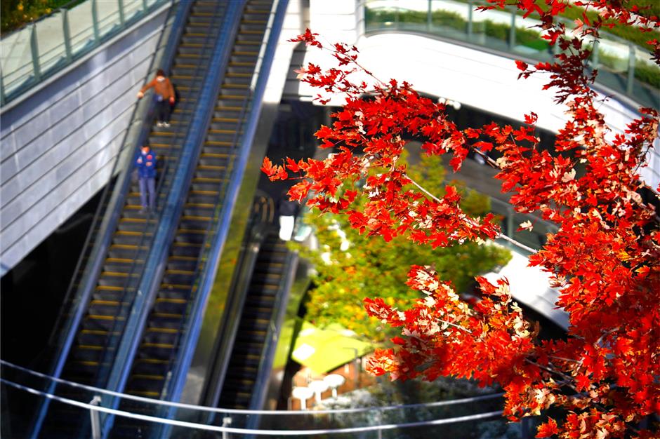 蘇州河畔又發現一座絕美楓葉天橋!還有「巨型中國結」限定新裝扮→