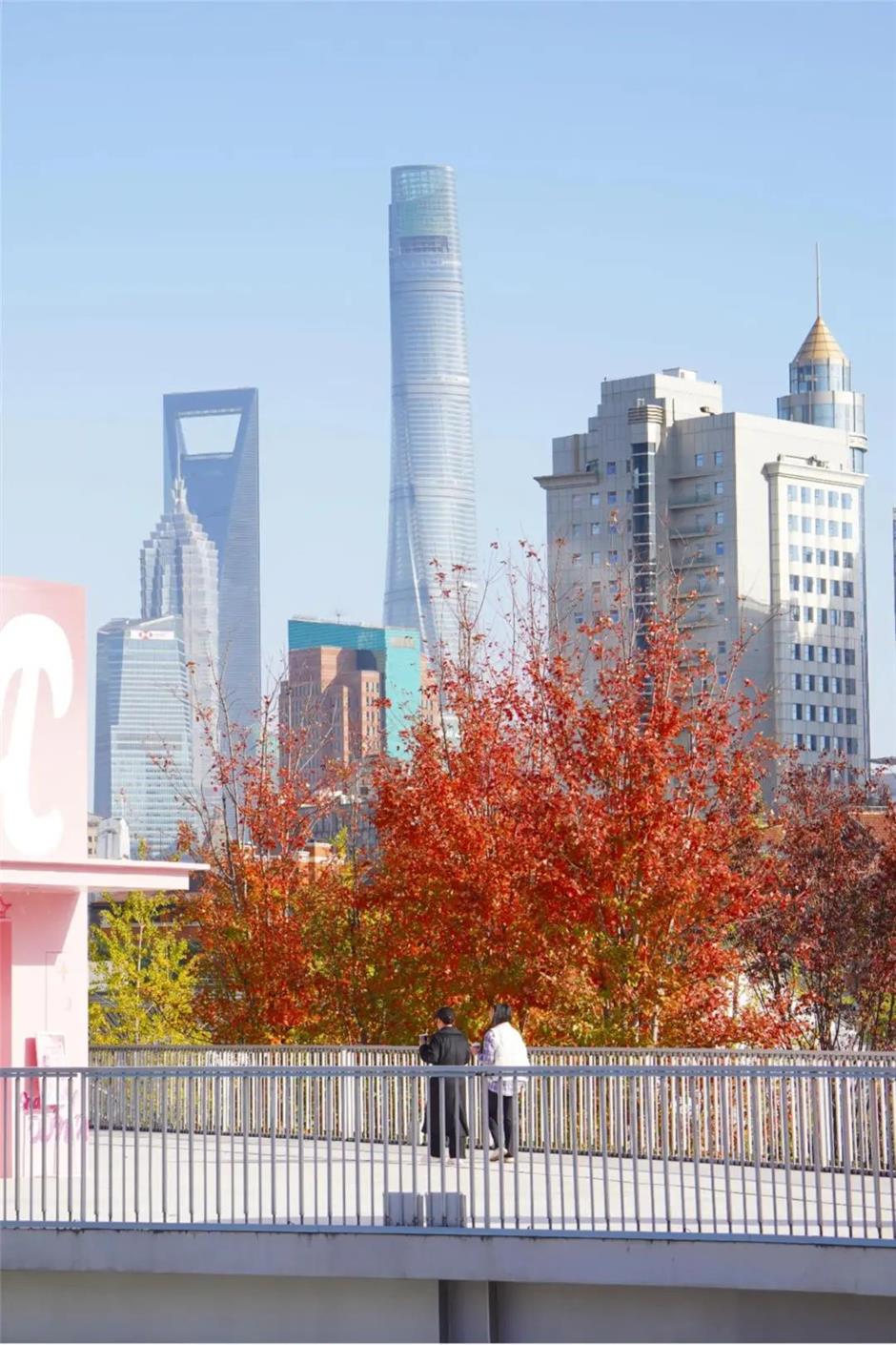 蘇州河畔又發現一座絕美楓葉天橋!還有「巨型中國結」限定新裝扮→