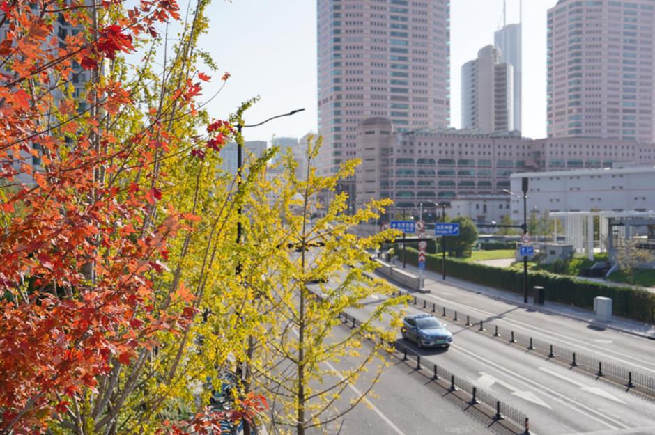 蘇州河畔又發現一座絕美楓葉天橋!還有「巨型中國結」限定新裝扮→