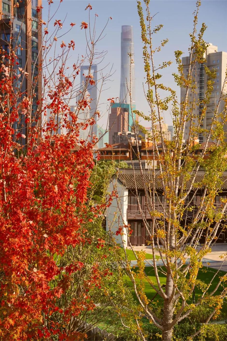 蘇州河畔又發現一座絕美楓葉天橋!還有「巨型中國結」限定新裝扮→