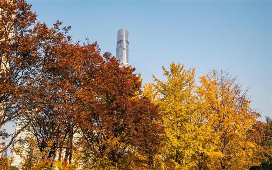 能拍銀杏和四件套同框的絕美露台!就在上海市中心這個小眾公園→