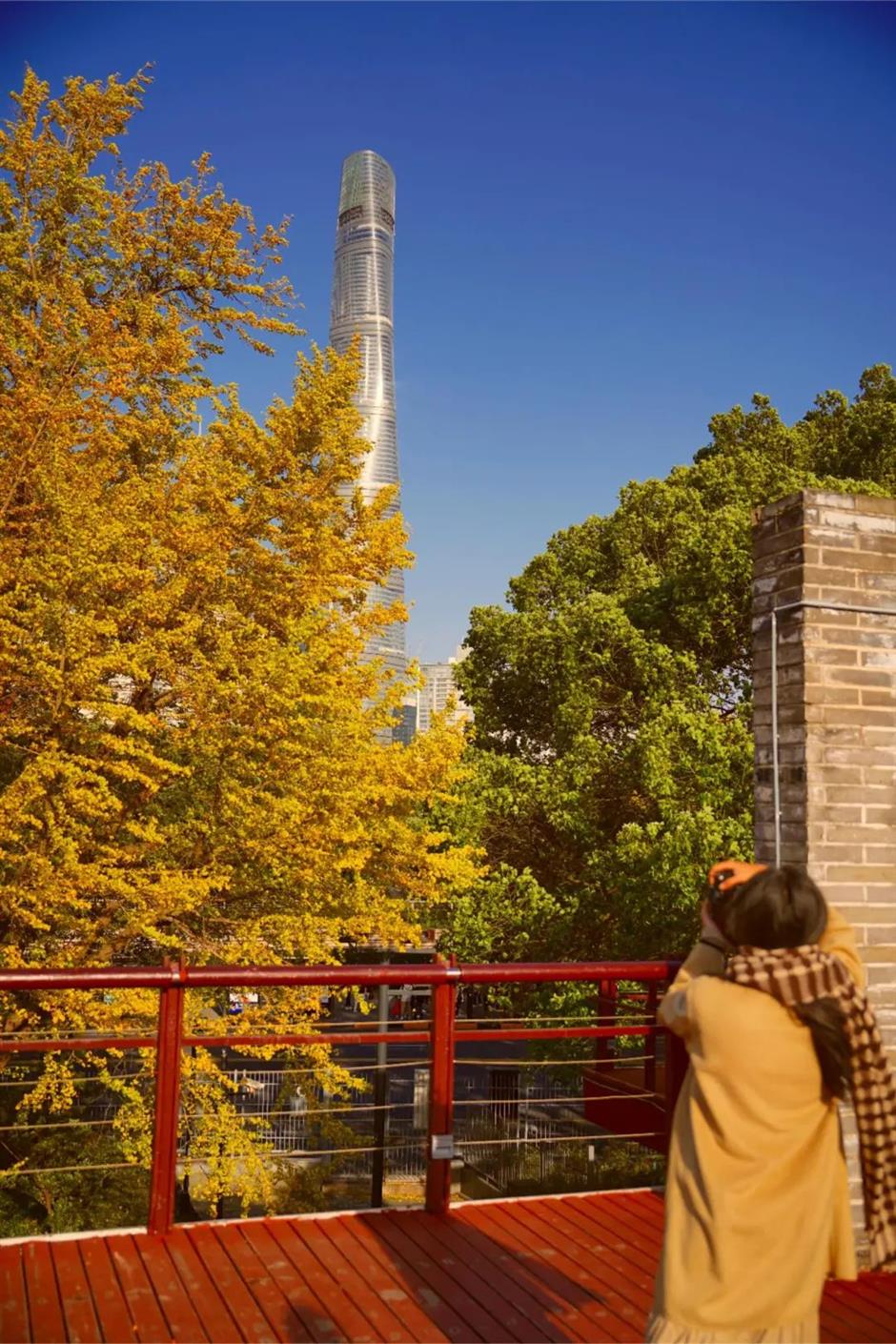 能拍銀杏和四件套同框的絕美露台!就在上海市中心這個小眾公園→