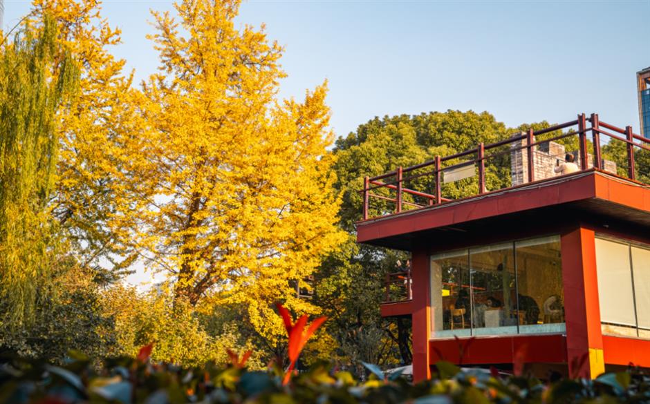 能拍銀杏和四件套同框的絕美露台!就在上海市中心這個小眾公園→