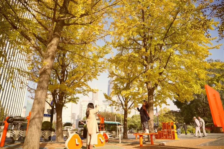 能拍銀杏和四件套同框的絕美露台!就在上海市中心這個小眾公園→