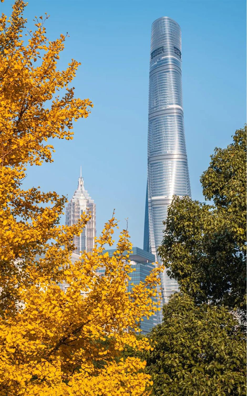 能拍銀杏和四件套同框的絕美露台!就在上海市中心這個小眾公園→