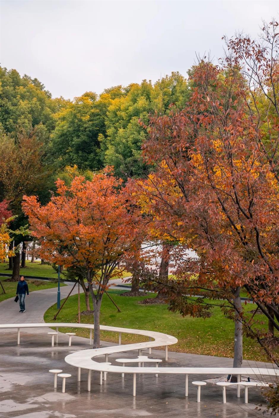 绝美!上海西岸免费梦幻花园新亮相~
