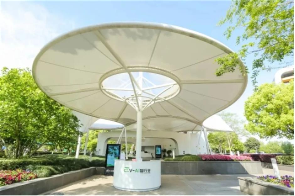 0001号古银杏黄了!这条专线巴士带你去看绝美秋色