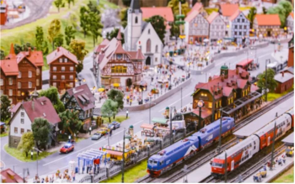 0001号古银杏黄了!这条专线巴士带你去看绝美秋色