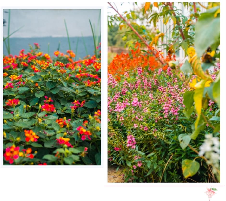 打卡市民园艺中心