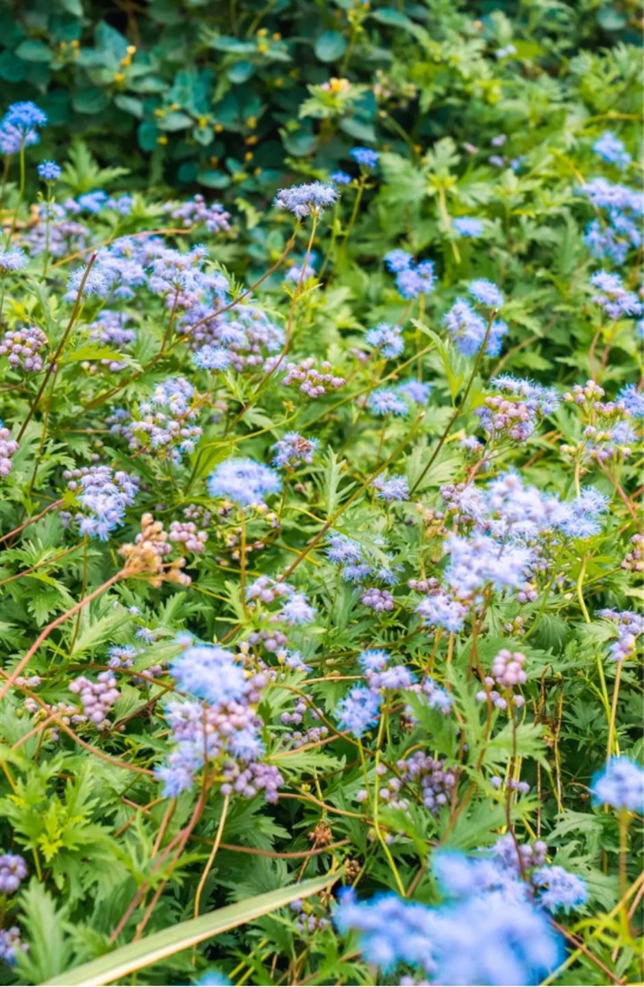 打卡市民园艺中心