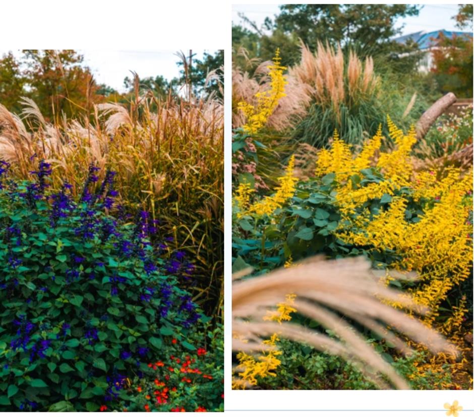 打卡市民园艺中心