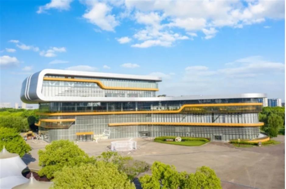 0001号古银杏黄了!这条专线巴士带你去看绝美秋色