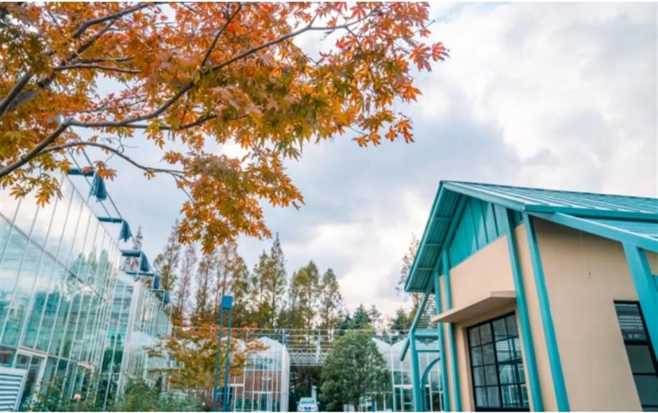 打卡市民园艺中心