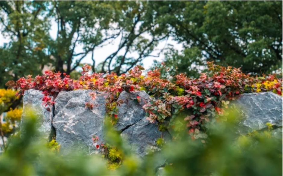 打卡市民园艺中心