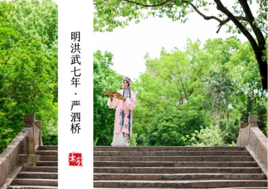 0001号古银杏黄了!这条专线巴士带你去看绝美秋色