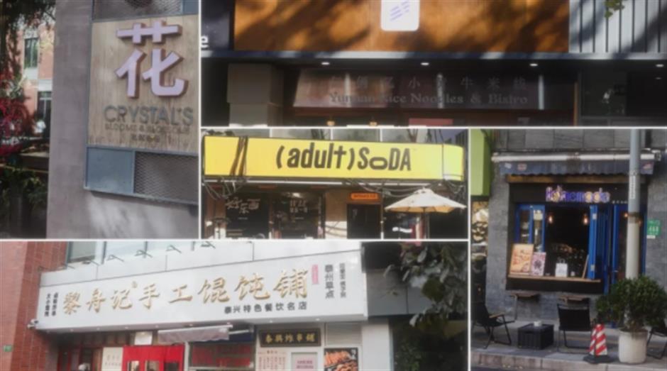 秋末冬初,赴一场与银杏的