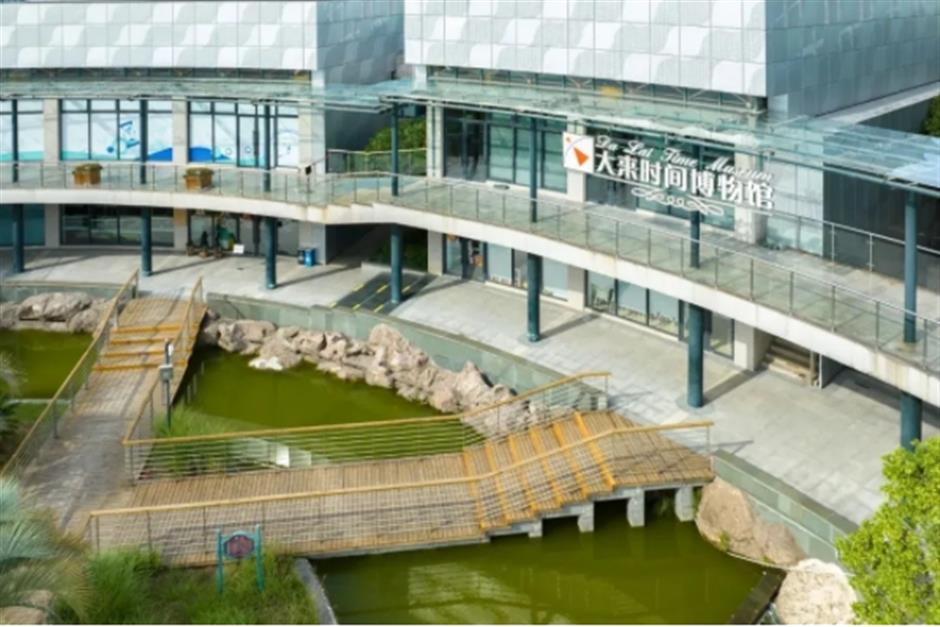 0001号古银杏黄了!这条专线巴士带你去看绝美秋色