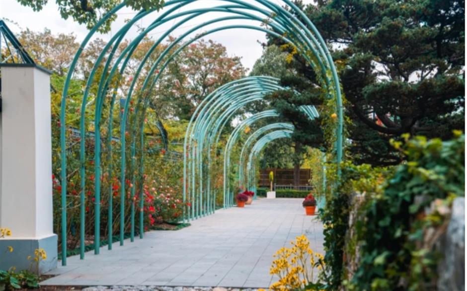 打卡市民园艺中心