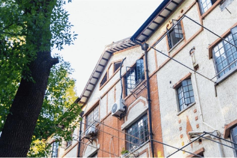 秋末冬初,赴一场与银杏的