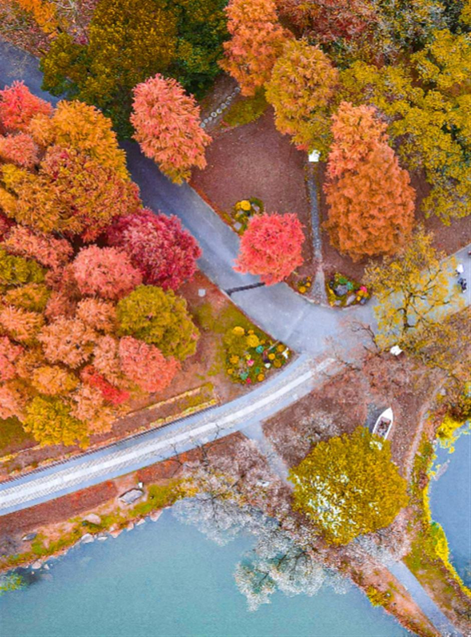 超美!橙黃橘綠時限定大片快來拍