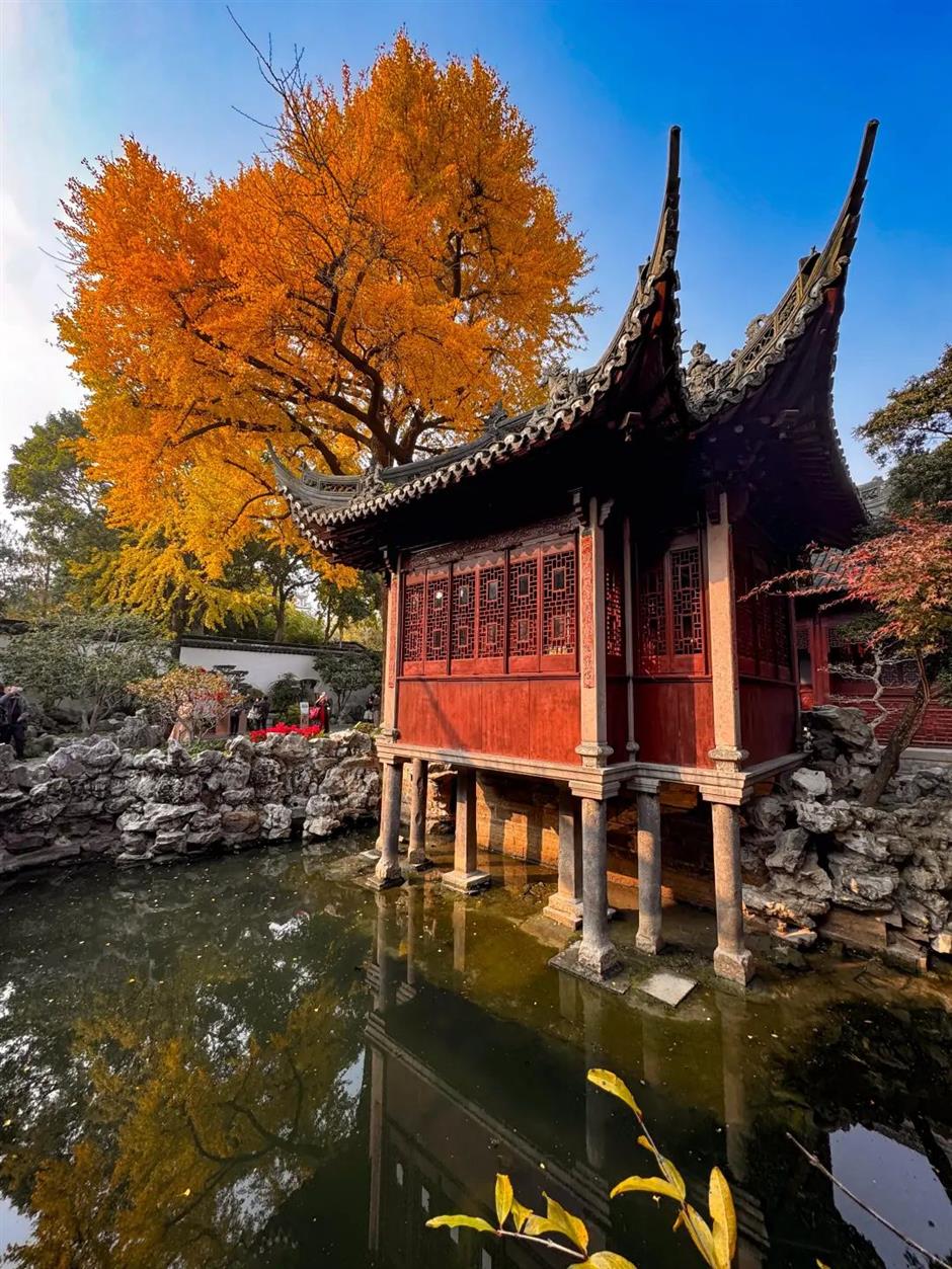 一年中最美!各大古风园林秋色正当时
