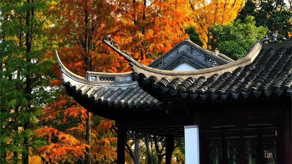 一年中最美!各大古风园林秋色正当时