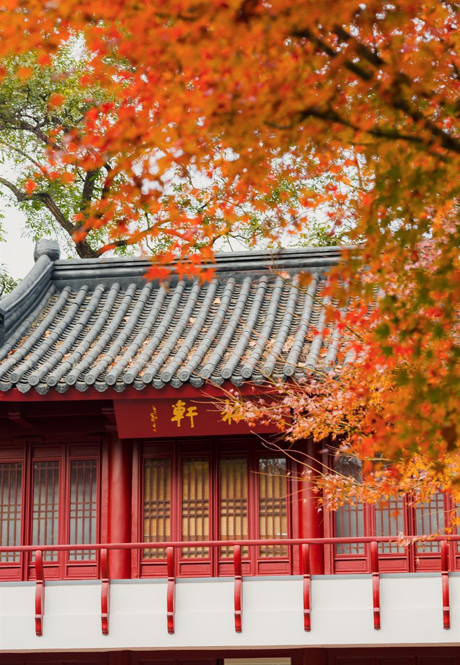 一年中最美!各大古风园林秋色正当时