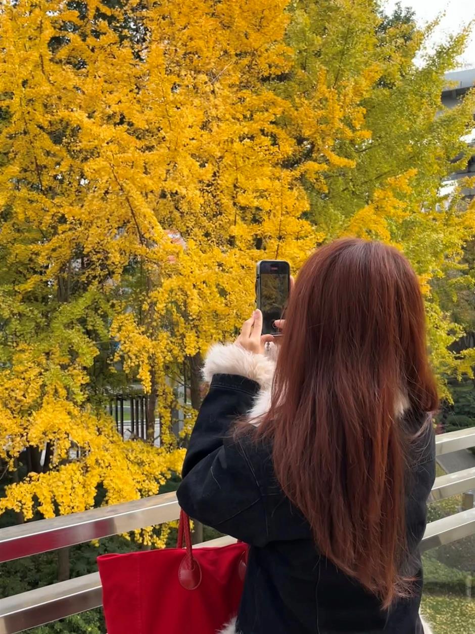 محطة القطار القادمة: محطة الصفصاف الخريفية الساحرة في شانغهاي.