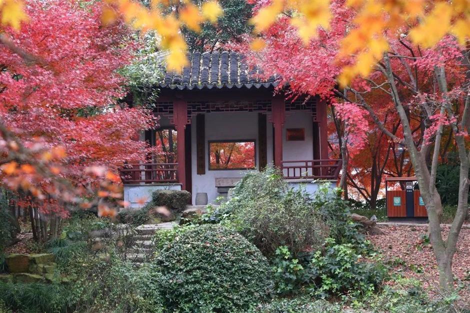 一年中最美!各大古风园林秋色正当时