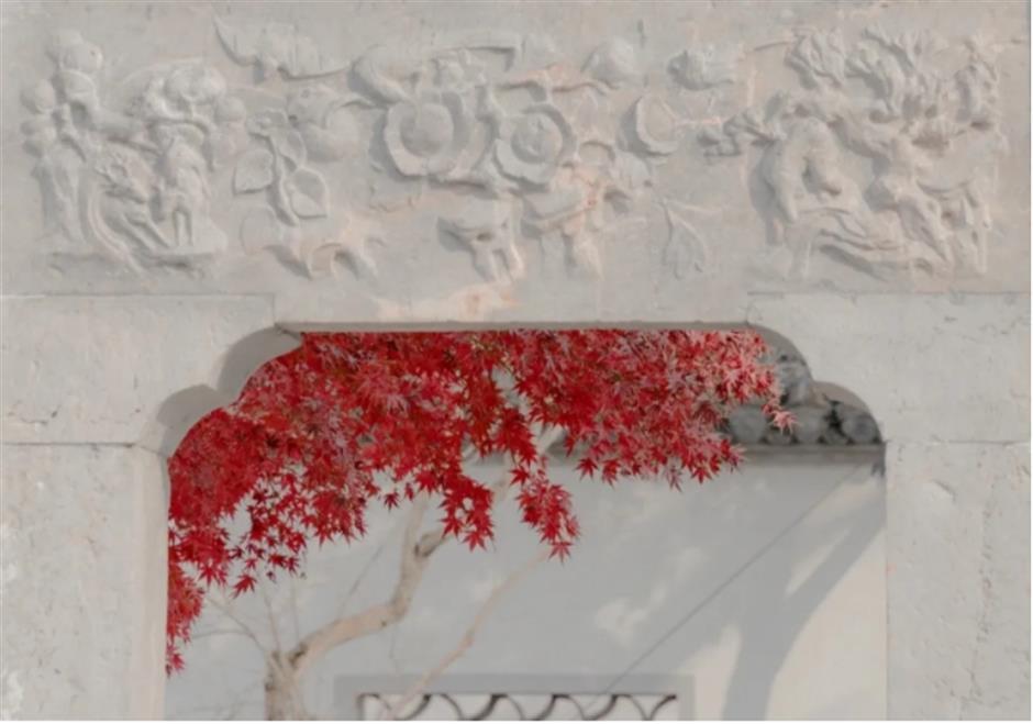 银杏、乌桕、枫香……秋冬限定缤纷彩叶已上线!错过等一年