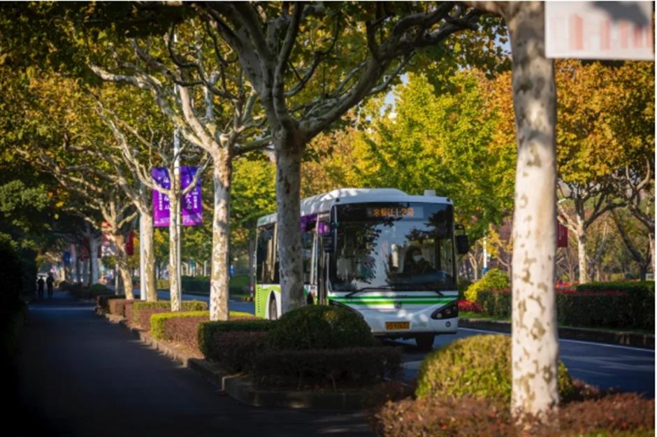 银杏、乌桕、枫香……秋冬限定缤纷彩叶已上线!错过等一年