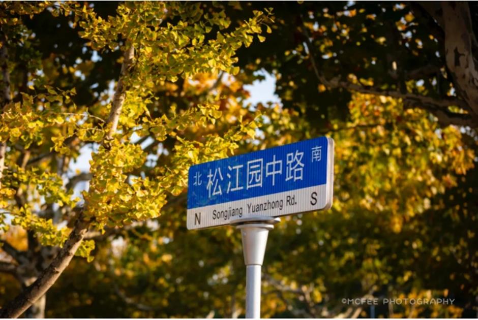 银杏、乌桕、枫香……秋冬限定缤纷彩叶已上线!错过等一年