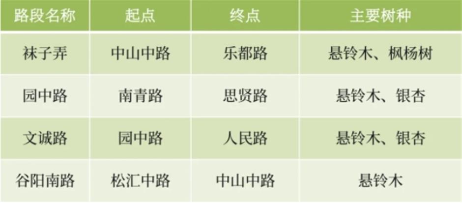 银杏、乌桕、枫香……秋冬限定缤纷彩叶已上线!错过等一年