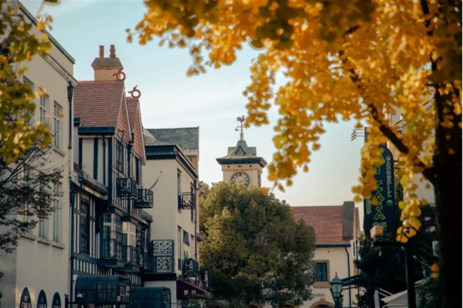 银杏、乌桕、枫香……秋冬限定缤纷彩叶已上线!错过等一年